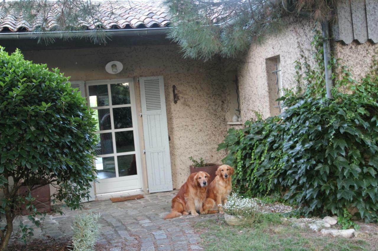 Le Clos Du Gorion Hotel Saint-Sulpice-et-Cameyrac Екстериор снимка